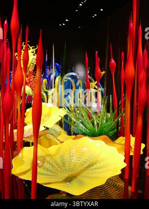 SEATTLE - APR 25, 2025 - S'élevant du sol, des sculptures en verre rouge, jaune et bleu créent un affichage vibrant de couleur et de forme, rehaussé par la lumière Banque D'Images