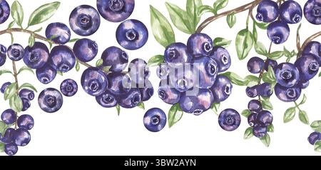 Illustration aquarelle de la bordure sans couture des bleuets, motif de répétition de baies botaniques peintes à la main, impression de flore Banque D'Images
