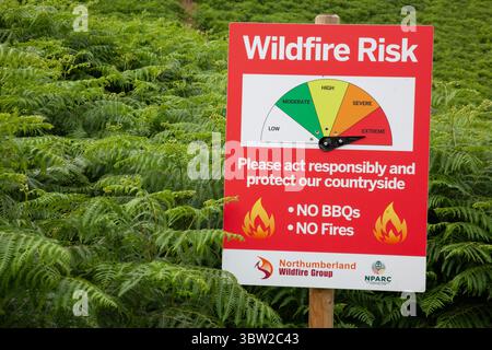 En dépit de la verdure trompeuse Bracken, un panneau de risque d'incendie de forêt est placé à Extreme dans la Beamish Valley près d'Ingram, Northumberland. En raison du temps sec prolongé, les feux de prairie et les feux de forêt sont de plus en plus fréquents au Royaume-Uni en raison du changement climatique et il y a des appels pour la création d'un plan national pour les pompiers. Banque D'Images