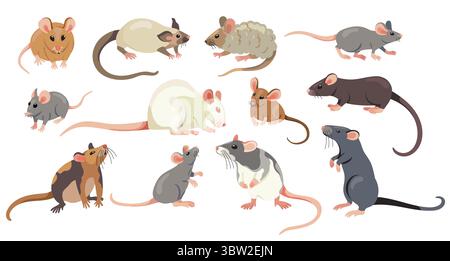 Collection de rats. Souris et rats mignons de bande dessinée, adorable petit comique différents personnages de rongeurs, souris plates et rats animaux domestiques. Caractères isolés par vecteur Illustration de Vecteur