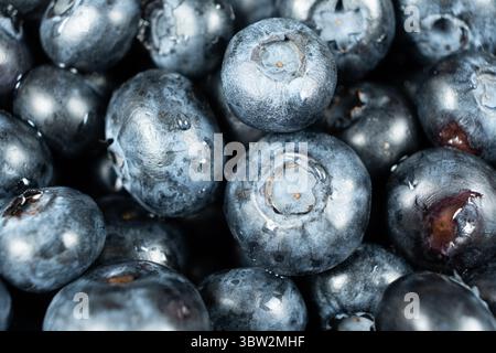 Plan macro de myrtilles juteuses recouvertes de gouttes d'eau. Banque D'Images