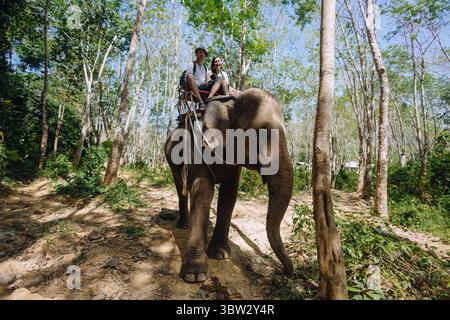 Deux coureurs s'assoient confortablement au sommet d'un éléphant doux qui navigue sur un chemin sinueux à travers une jungle vibrante remplie d'arbres et de lumière du soleil, créant un s. Banque D'Images