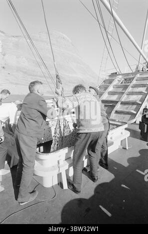 Aktuell 37 - 3 - 1969 : un navire sera chargé avec muskNorvège le nouveau bétail est musc. Pour la première fois dans l'hémisphère oriental, la culture du musc deviendra une source de revenus. La première ferme musquée est située à Bardu à Troms. Norsk Moskus AS utilisera les animaux pour la production de laine. 25 veaux ont récemment été capturés au Groenland puis transportés en Norvège par bateau. Deux des employés d'Aktuell étaient présents lors de la capture - en tant que seul personnel de presse. Les veaux ont été capturés à la main ou avec un lasso et amenés au navire par hélicoptère. Du bateau à moteur au bateau et vers le bas Banque D'Images