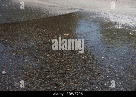 Fuites de conduites d'eau, éclatement des conduites d'eau, eau qui coule sur la route, panne de l'autorité de l'eau, eau du Sud, réparations répétées, Midhurst, Sussex, juillet 2025 Banque D'Images