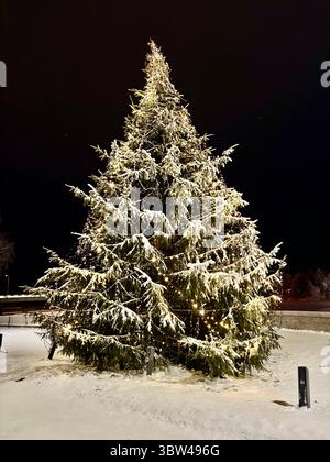 Lumière de Noël en Laponie finlandaise Banque D'Images