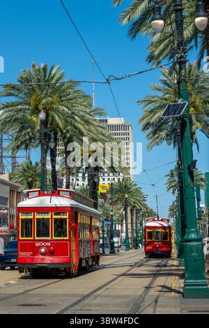 Tramways rouges et palmiers sur canal Street à la Nouvelle-Orléans, Lousiane Banque D'Images