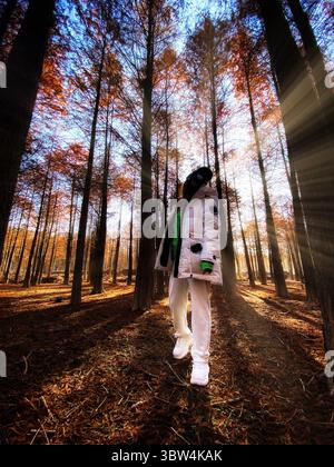 Marcher à travers une forêt sereine au coucher du soleil d'automne, habillé de vêtements chauds et élégants Banque D'Images