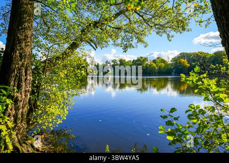 Vue sur l'étang vert de Glücksburg et la nature environnante. Banque D'Images