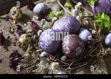 Colorant oeuf de Pâques violet. Les œufs faits maison sont peints avec un colorant naturel à base d'oeufs de fleurs d'hibiscus séchées sur une table rustique Banque D'Images