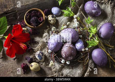 Colorant oeuf de Pâques violet. Les œufs faits maison sont peints avec un colorant naturel à base d'oeufs de fleurs d'hibiscus séchées sur une table rustique Banque D'Images