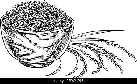 Riz ou avoine, blé ou seigle dans un bol en bois, avec des tiges de riz à côté. Graphiques en noir et blanc, illustrations vectorielles. Elément de conception pour menus Illustration de Vecteur