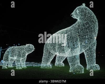 Taitung, Taiwan - 9 novembre 2024 - deux grandes sculptures lumineuses illuminées en forme d'ours polaires se dressent sur une zone herbeuse, créant un affichage festif à t Banque D'Images