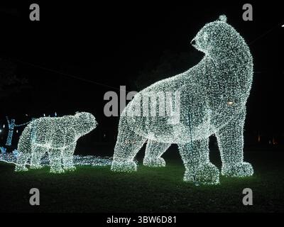 Taitung, Taïwan - 9 novembre 2024 - deux sculptures lumineuses illuminées d'ours polaires sont exposées sur une zone herbeuse, l'une semblant regarder vers le th Banque D'Images