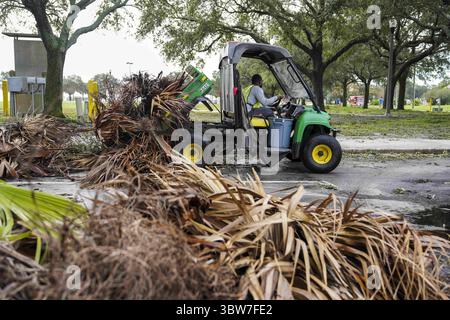 12 novembre 2020, établi Petersburg, Floride, USA : un travailleur de l'entretien des parcs décharge des débris de palmiers dans un tas le matin après que la tempête tropicale ETA a frappé la baie de Tampa, laissant des dommages causés par les inondations et le vent dans les communautés partout, le jeudi 12 novembre 2020 à Pétersbourg. (Crédit image : © Martha Asencio Rhine/Tampa Bay Times via ZUMA Wire) Banque D'Images