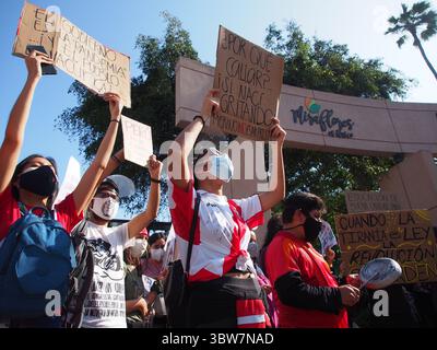 14 novembre 2020, Lima, Lima, Pérou : des milliers de manifestants sont descendus dans les rues de Lima lors de la deuxième grande marche nationale pour protester contre la destitution de l'ancien président MartÃ­n Vizcarra. (Crédit image : © Carlos Garcia Granthon/ZUMA Wire) Banque D'Images