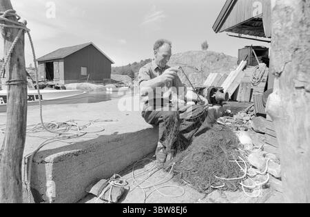 Aktuell 26 - 6 - 1970 : L'été du sud de la Norvège attend. Nous avons fait une escapade à la plage fugace dans l'un des paradis de vacances du sud de la Norvège, Brekkestø, et pouvons le signaler : les campings, les maisons d'hôtes et les résidents locaux attendent l'invasion de vacances de l'été. Attente avec le soleil, bakingSvaberg et la morue qui vont sur les leurres et les filets. Le pêcheur Arnulf Andersen arrange ses filets après la prise de la nuit. Il n'y avait que six kilos de morue sur deux filets. Il est un résident permanent au milieu du paradis estival et ne pouvait imaginer quitter son île pour vivre au centre. Photo : Aage Storløkken / A Banque D'Images