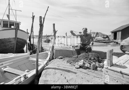 Aktuell 26 - 6 - 1970 : L'été du sud de la Norvège attend. Nous avons fait une escapade à la plage fugace dans l'un des paradis de vacances du sud de la Norvège, Brekkestø, et pouvons le signaler : les campings, les maisons d'hôtes et les résidents locaux attendent l'invasion de vacances de l'été. Attente avec le soleil, bakingSvaberg et la morue qui vont sur les leurres et les filets. Le pêcheur Arnulf Andersen arrange ses filets après la prise de la nuit. Il n'y avait que six kilos de morue sur deux filets. Il est un résident permanent au milieu du paradis estival et ne pouvait imaginer quitter son île pour vivre au centre. Photo : Aage Storløkken / A Banque D'Images