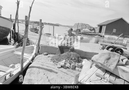 Aktuell 26 - 6 - 1970 : L'été du sud de la Norvège attend. Nous avons fait une escapade à la plage fugace dans l'un des paradis de vacances du sud de la Norvège, Brekkestø, et pouvons le signaler : les campings, les maisons d'hôtes et les résidents locaux attendent l'invasion de vacances de l'été. Attente avec le soleil, bakingSvaberg et la morue qui vont sur les leurres et les filets. Le pêcheur Arnulf Andersen arrange ses filets après la prise de la nuit. Il n'y avait que six kilos de morue sur deux filets. Il est un résident permanent au milieu du paradis estival et ne pouvait imaginer quitter son île pour vivre au centre. Photo : Aage Storløkken / A Banque D'Images