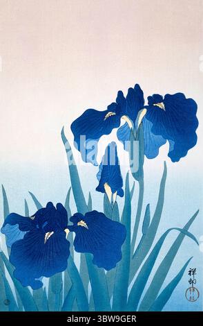Ohara Koson. Tirage intitulé 'Irises bleus' par le graveur japonais Ohara Koson (aussi Ohara Hōson, Ohara Shōson : 1877-1945), vers 1925-36 Banque D'Images