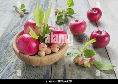 Plusieurs pommes rouges avec des feuilles vertes reposent dans un bol en bois sur la vieille table en bois Banque D'Images
