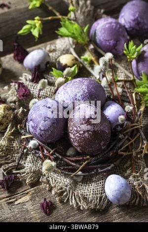 Colorant oeuf de Pâques violet. Les œufs faits maison sont peints avec un colorant naturel à base d'oeufs de fleurs d'hibiscus séchées sur une table rustique Banque D'Images