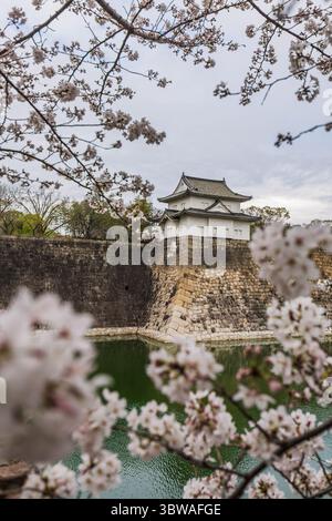 Vue imprenable sur le mur de pierre et la tourelle du château d'Edo encadrés par des cerisiers en fleurs à Tokyo, au Japon. Les douves tranquilles ajoutent à la beauté sereine de Banque D'Images