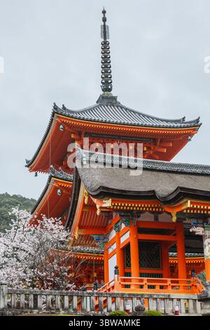 Vue imprenable sur le temple Kiyomizu-dera à Kyoto, Japon. L'architecture orange éclatante contraste magnifiquement avec les délicates fleurs de cerisier en fleurs. A Banque D'Images