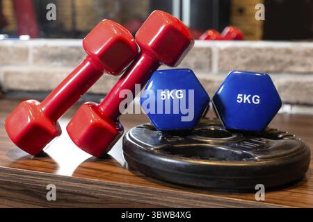 Haltère rouge et bleu de près Banque D'Images