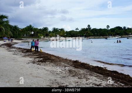 Akumal Beach, Riviera Maya, Mexique – Côte des Caraïbes, nettoyage des algues Banque D'Images