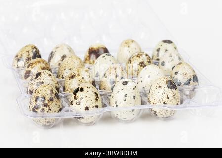 Oeufs de caille tachetés dans un récipient en plastique gros plan sur un fond blanc Banque D'Images