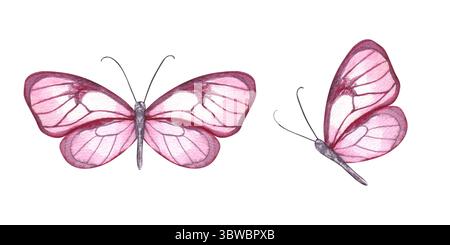 Deux faucon abstraits en vol illustration d'ensemble d'aquarelle isolé sur fond blanc. Papillons peints à la main pour des projets fantastiques Banque D'Images