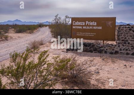 Entrée Cabeza Prieta panneau d'entrée est, Organ Pipe Cactus National Monument, Arizona. Banque D'Images