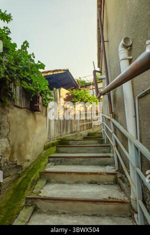 Tbilissi, Géorgie, Nadzaladevi, escaliers en béton, marches moussues, vigne, ciel de l'aube, tuyaux, ruelle étroite, rue authentique, passage urbain, destin de voyage Banque D'Images