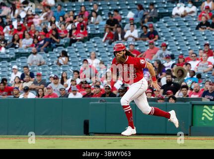 27 juillet 2021, Anaheim, Californie, États-Unis : Brandon Marsh #16 des Angelsde Los Angeles lors de leur match de saison régulière MLB avec les Rockies du Colorado le mardi 27 juillet 2021 au Angel Stadium d'Anaheim à Anaheim, Californie. Les anges perdent face aux Rocheuses, 3-12. DOUGLAS CUELLAR/PI (crédit image : © Prensa Internacional via ZUMA Press Wire) Banque D'Images