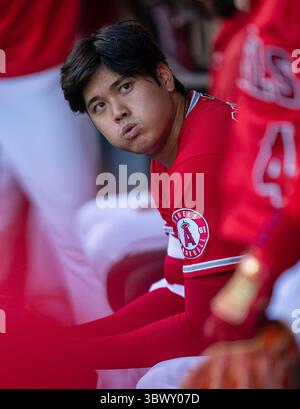 27 juillet 2021, Anaheim, Californie, États-Unis : Shohei Ohtani #17 des Los Angeles Angels lors de leur match de saison régulière MLB avec les Colorado Rockies le mardi 27 juillet 2021 au Angel Stadium d'Anaheim à Anaheim, Californie. Les anges perdent face aux Rocheuses, 3-12. DOUGLAS CUELLAR/PI (crédit image : © Prensa Internacional via ZUMA Press Wire) Banque D'Images