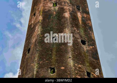 26 juillet 2021, Dhaka, Bangladesh : perruche et myne de la jungle, vus sur le mur d'un ancien temple à Keraniganj. (Crédit image : © Zabed Hasnain Chowdhury/SOPA images via ZUMA Press Wire) Banque D'Images
