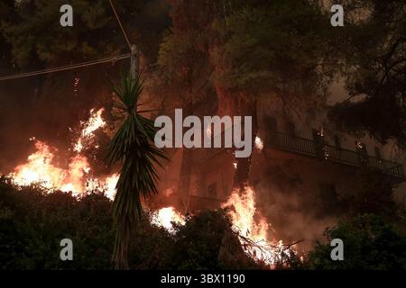 8 août 2021, île d'Evia, Grèce : les gens tentent d'éteindre les flammes lors d'un incendie de forêt dans le village de Pefki sur l'île d'Evia, à environ 189 kilomètres (118 miles) au nord d'Athènes. (Crédit image : © Eurokinissi via ZUMA Press Wire) Banque D'Images