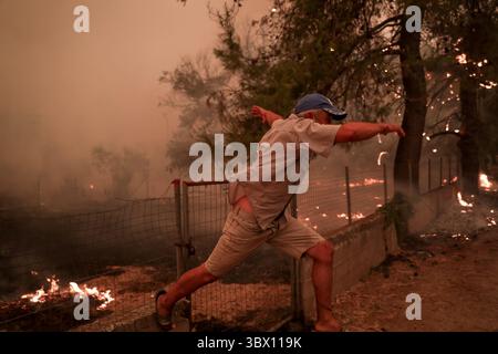 8 août 2021, île d'Evia, Grèce : les gens tentent d'éteindre les flammes lors d'un incendie de forêt dans le village de Pefki sur l'île d'Evia, à environ 189 kilomètres (118 miles) au nord d'Athènes. (Crédit image : © Eurokinissi via ZUMA Press Wire) Banque D'Images