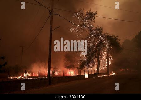 8 août 2021, île d'Evia, Grèce : les gens tentent d'éteindre les flammes lors d'un incendie de forêt dans le village de Pefki sur l'île d'Evia, à environ 189 kilomètres (118 miles) au nord d'Athènes. (Crédit image : © Eurokinissi via ZUMA Press Wire) Banque D'Images
