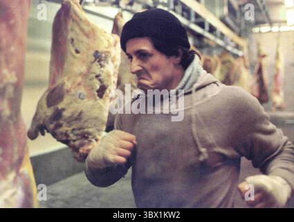 28 mai 2020, États-Unis : Sylvester Stallone, Half-Length Portrait, sur le plateau du film, ''Rocky'', United Artists, 1976 (crédit image : © JT Vintage/Glasshouse via ZUMA Press Wire) Banque D'Images