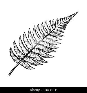 Une illustration détaillée d'une feuille de fougère, mettant en valeur sa structure complexe et ses détails fins. La feuille est représentée en noir et blanc, soulignant sa Illustration de Vecteur
