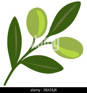 Illustration vectorielle stylisée d'un rameau d'olivier avec deux olives et plusieurs feuilles, présentant un design minimaliste avec différentes nuances de vert. Illustration de Vecteur