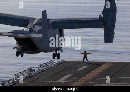 STYLELOCATIONA un marin de l'US Navy guide un avion MV-22B Osprey du corps des Marines, attaché au Marine Medium Tiltrotor Squadron 165, alors qu'il atterrit sur le pont d'envol du navire d'assaut amphibie USS Essex de classe Wasp lors de l'exercice Steel Knight/Dawn Blitz dans l'océan Pacifique le 2 décembre 2020 au large des côtes de la Californie. (Crédit image : © LCPL. Cameron Rowe/États-Unis Marine/Planet Pix via ZUMA Press Wire) Banque D'Images