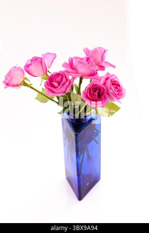 Roses dans un vase bleu. Une rose est une plante à fleurs vivace ligneuse du genre Rosa. Il y a plus de trois cents espèces et des dizaines de milliers de culti Banque D'Images