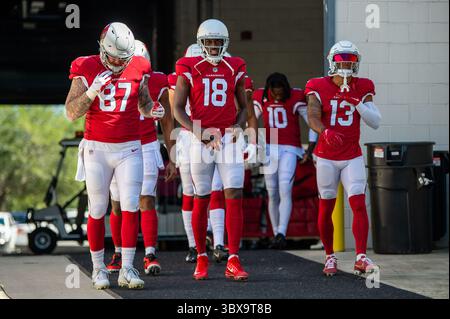 26 septembre 2021, Syracuse, New York, USA : Arizona Cardinals Tight End MAXX WILLIAMS (87). Le receveur des Arizona Cardinals Wide A.J. GREEN (18 ans) et CHRISTIAN KIRK (13 ans) sortent du tunnel pour les échauffements d'avant-match au TIAA Bank Field à Jacksonville, en Floride. Les Cardinals de l'Arizona battent les Jaguars de Jacksonville 31-19. (Crédit image : © Michael Johnson/ZUMA Press Wire) Banque D'Images