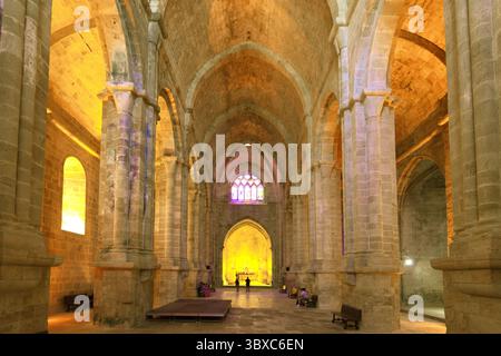 FRANCE. AUDE (11) ABBAYE SAINTE-MARIE DE FONTFROIDE OU ABBAYE DE FONTFROIDE PRÈS DE NARBONNE Banque D'Images