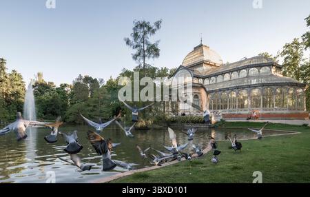 Promotions des parcs ou faune en milieu urbain. Banque D'Images