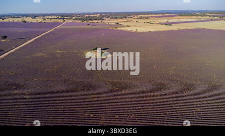 Tourisme rural, ou concepts de nature à grande échelle. Banque D'Images