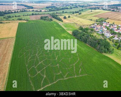 Frohburg, Allemagne. 18 juillet 2025. Un agriculteur a créé un labyrinthe dans un champ de maïs. Un bon quatre kilomètres de chemins ont été créés dans le champ de maïs de 13 hectares dans le district de Leipzig. (Vue aérienne avec drone) crédit : Jan Woitas/dpa/Alamy Live News Banque D'Images