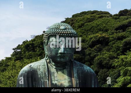 Kamakura, Japon - 5 août 2024 : gros plan de la statue du Grand Bouddha à Kamakura, Japon, avec une végétation luxuriante en arrière-plan Banque D'Images